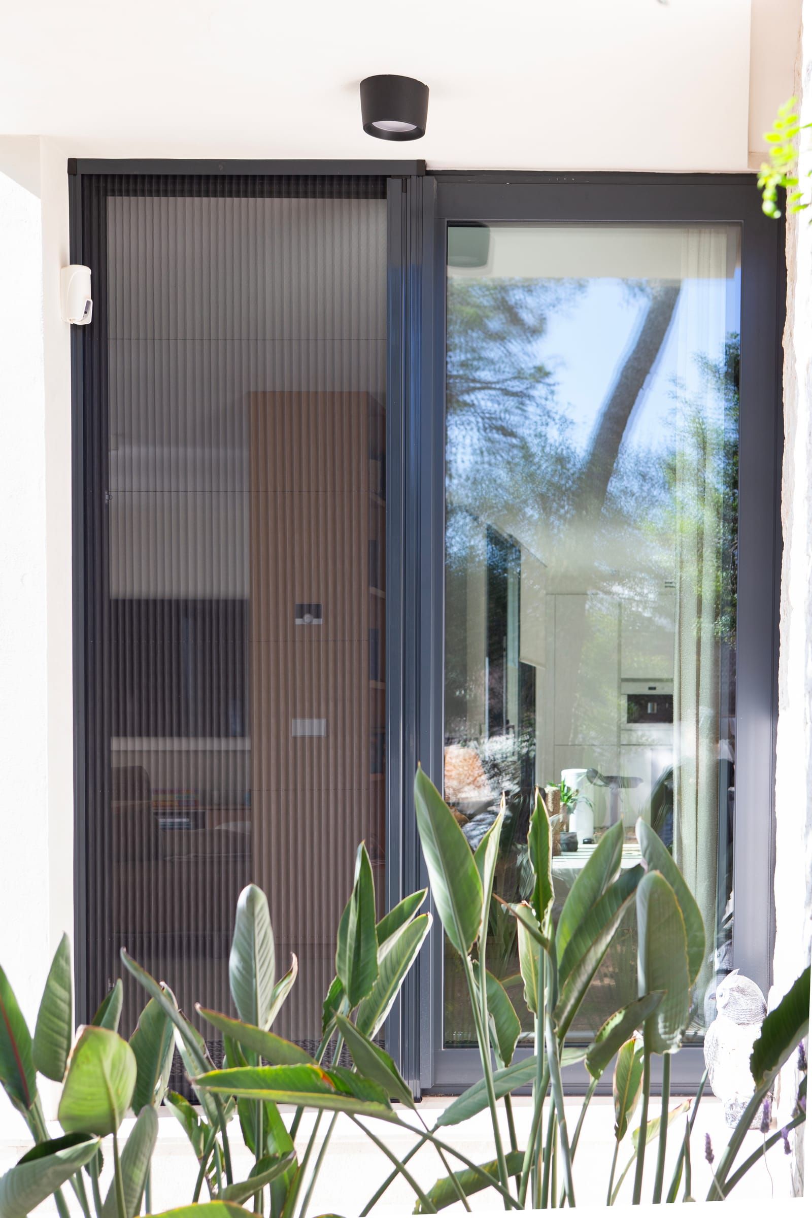 Sliding door with pleated insect screen seen from the garden, among plants