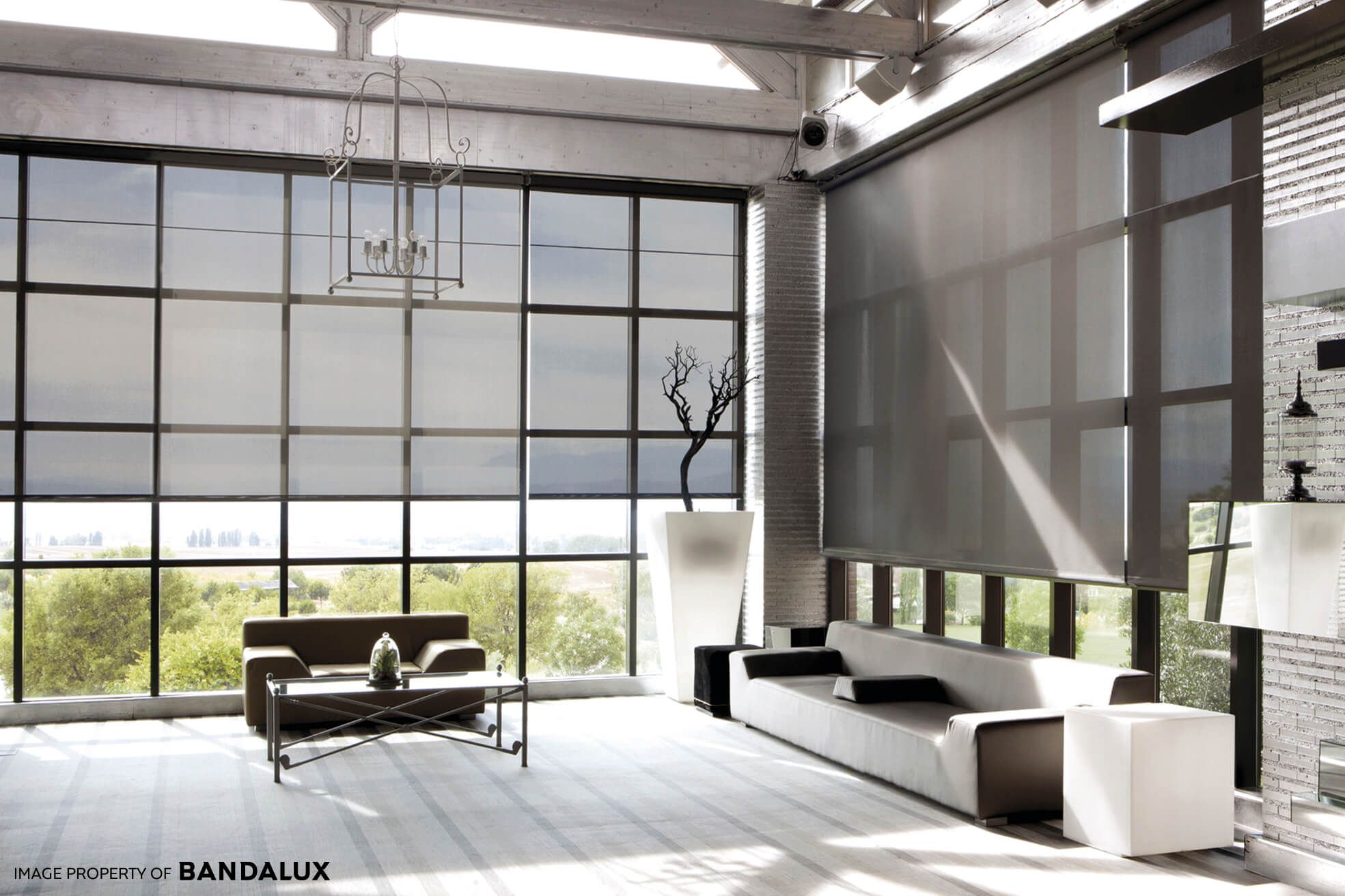 Roller blind (6)