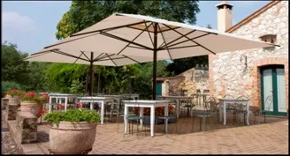 Parasol