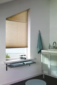 Pleated blind in a special shape